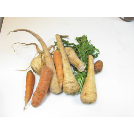 Tagliatelles de panais et carottes au pesto de roquette
