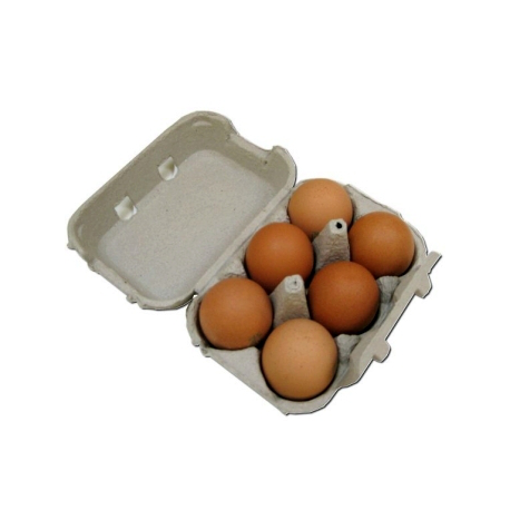 Oeufs extra-frais calibre moyen (x6)