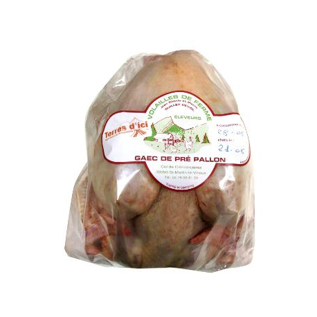 Poule à bouillir (1,3 kg)