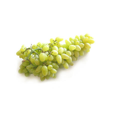 Raisin blanc bio (500g)