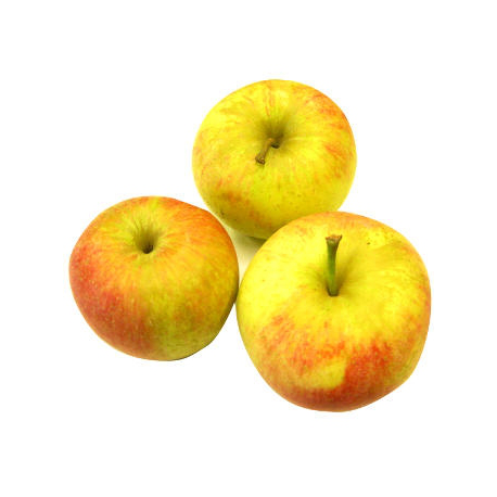 Pommes Pinova bio (1kg) (arôme pomme sauvage)