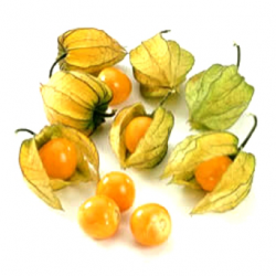 Physalis (100g)