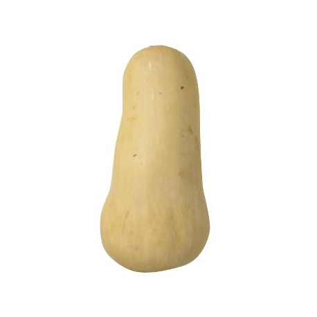 Courge butternut bio (piece 1,45kg environ)