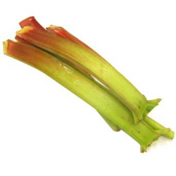 Rhubarbe bio (1kg)