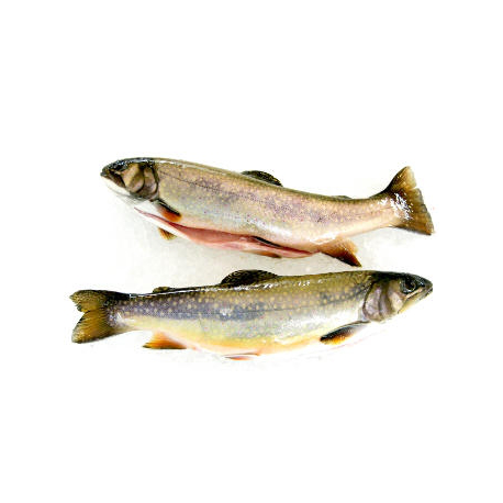 Truites blanches (2 poissons entiers sous vide, 2x250g)