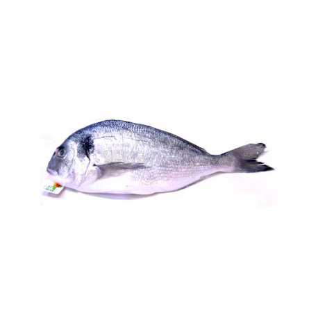 Dorade bio (1 poisson, 300g environ)