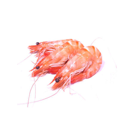 Crevettes bio gros calibre (300g)