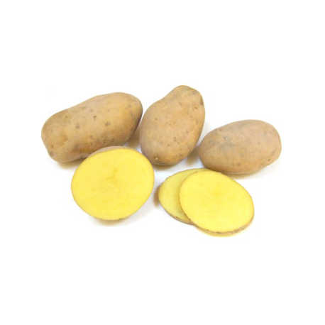 Pommes de terre Mona Lisa (1kg)