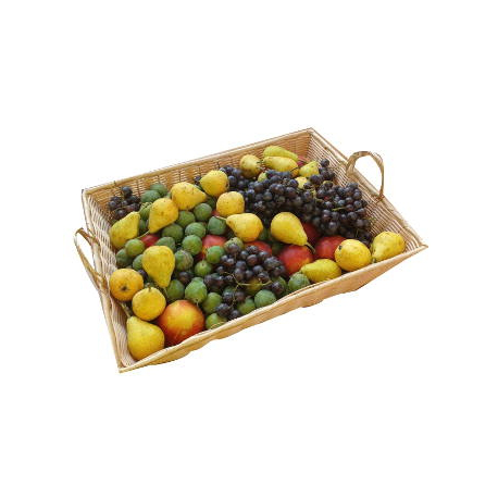 Corbeille de fruits pour entreprise (10 kg)