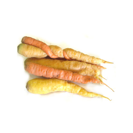 Carottes lavées bio (1kg)