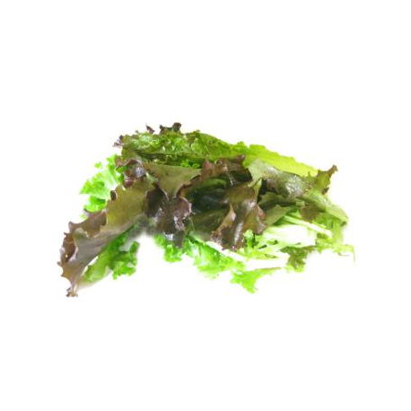 Mesclun bio (sachet de 150g)